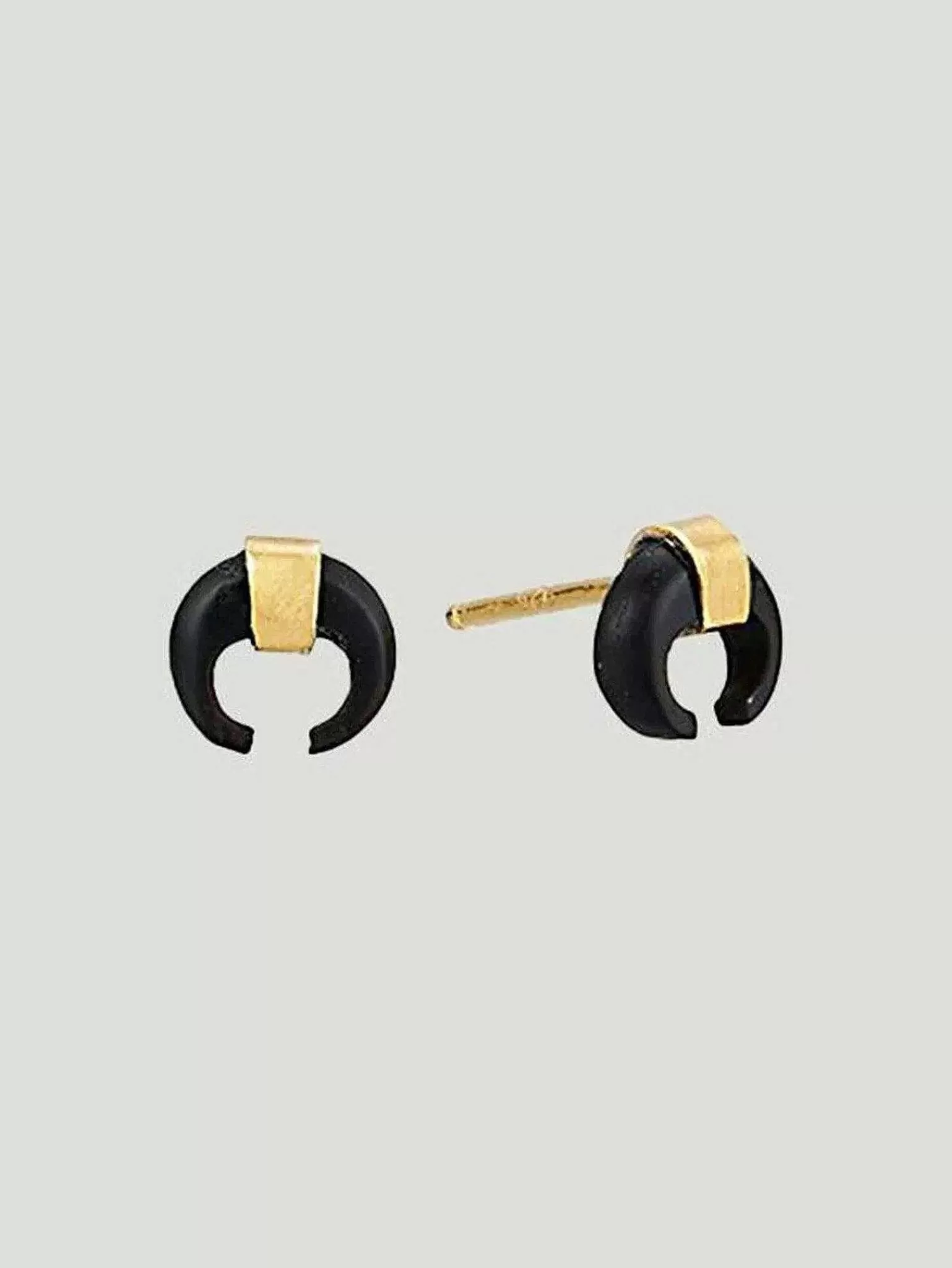 Store Horn Petite Earrings Women Jewelry